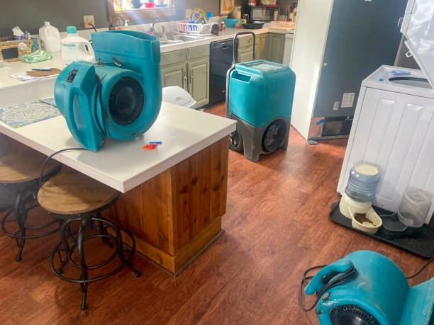 Best Basement water damage restoration  in Lavallette, NJ