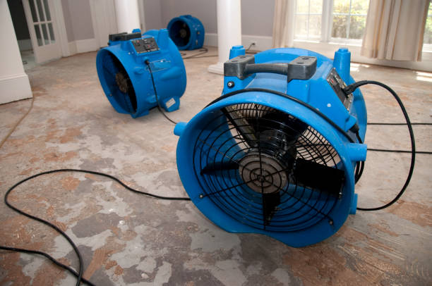 Best Sewage cleanup and water damage restoration  in Lavallette, NJ