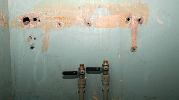 Best Fire Damage Restoration  in Lavallette, NJ