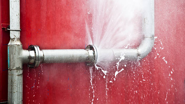 Best Ceiling water damage repair  in Lavallette, NJ